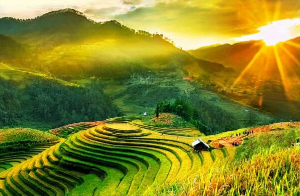 Sapa